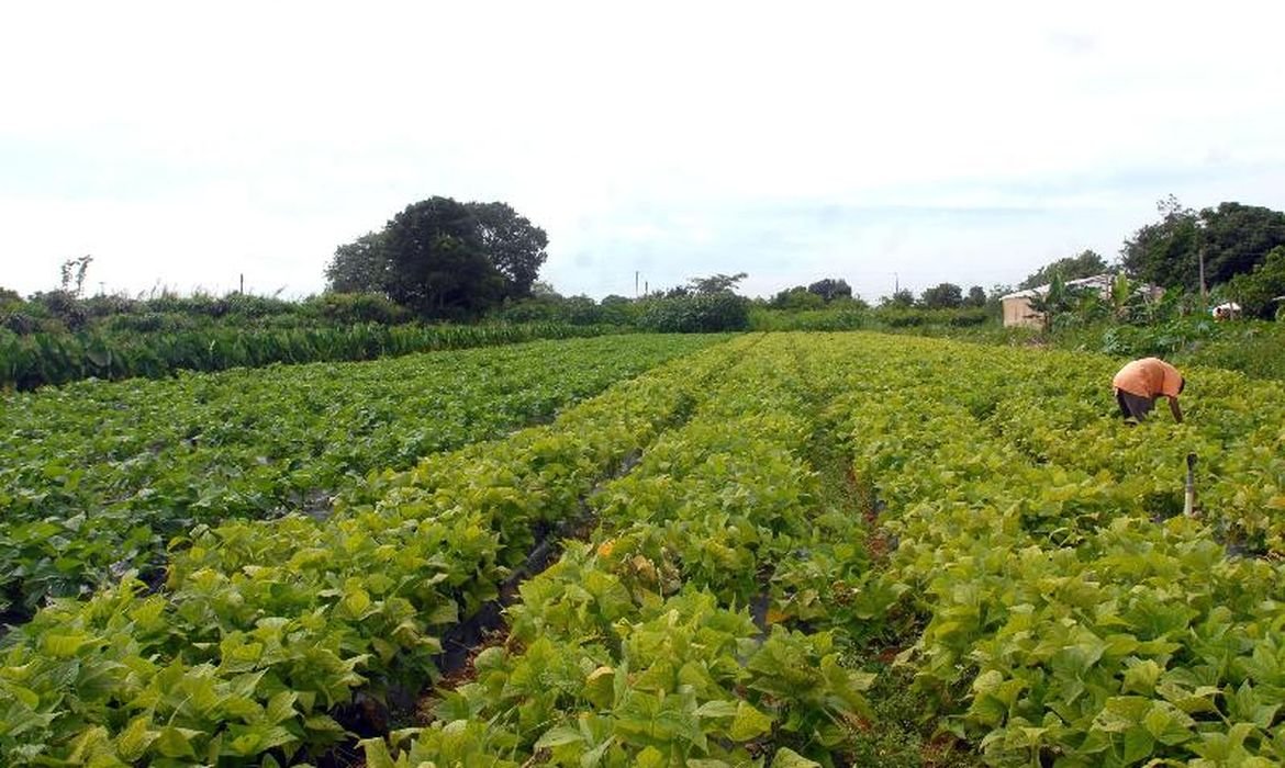 Segurança alimentar e povos indígenas têm R$ 64,3 milhões em crédito