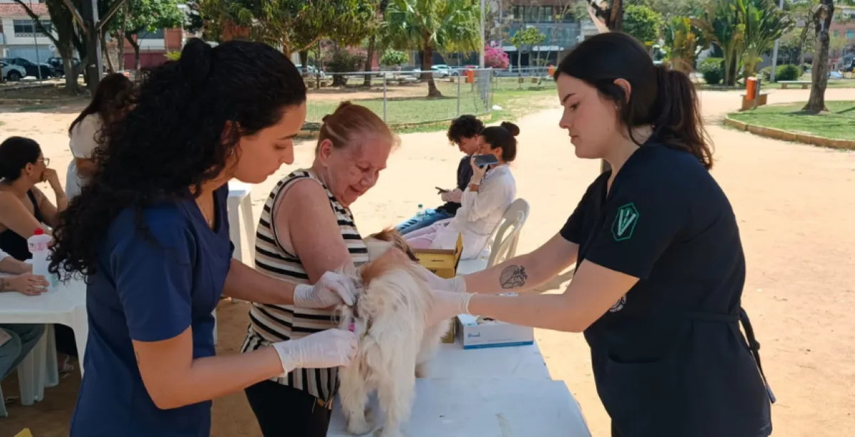 Vacinação antirrábica: Veja quando e onde imunizar cães e gatos contra a raiva em Juiz de Fora