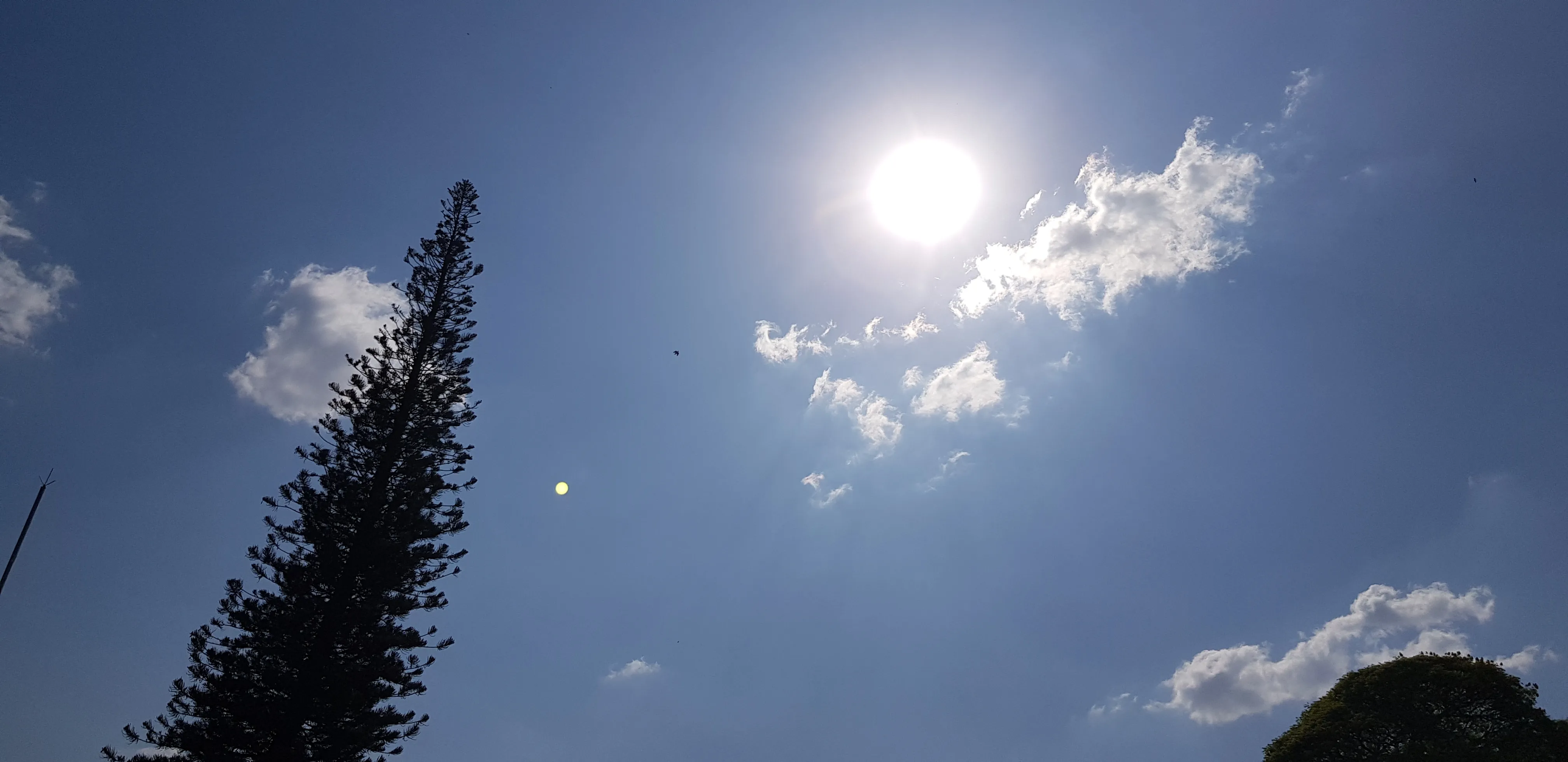 Onda de calor faz 12 cidades do Triângulo registrarem temperaturas acima dos 37 °C