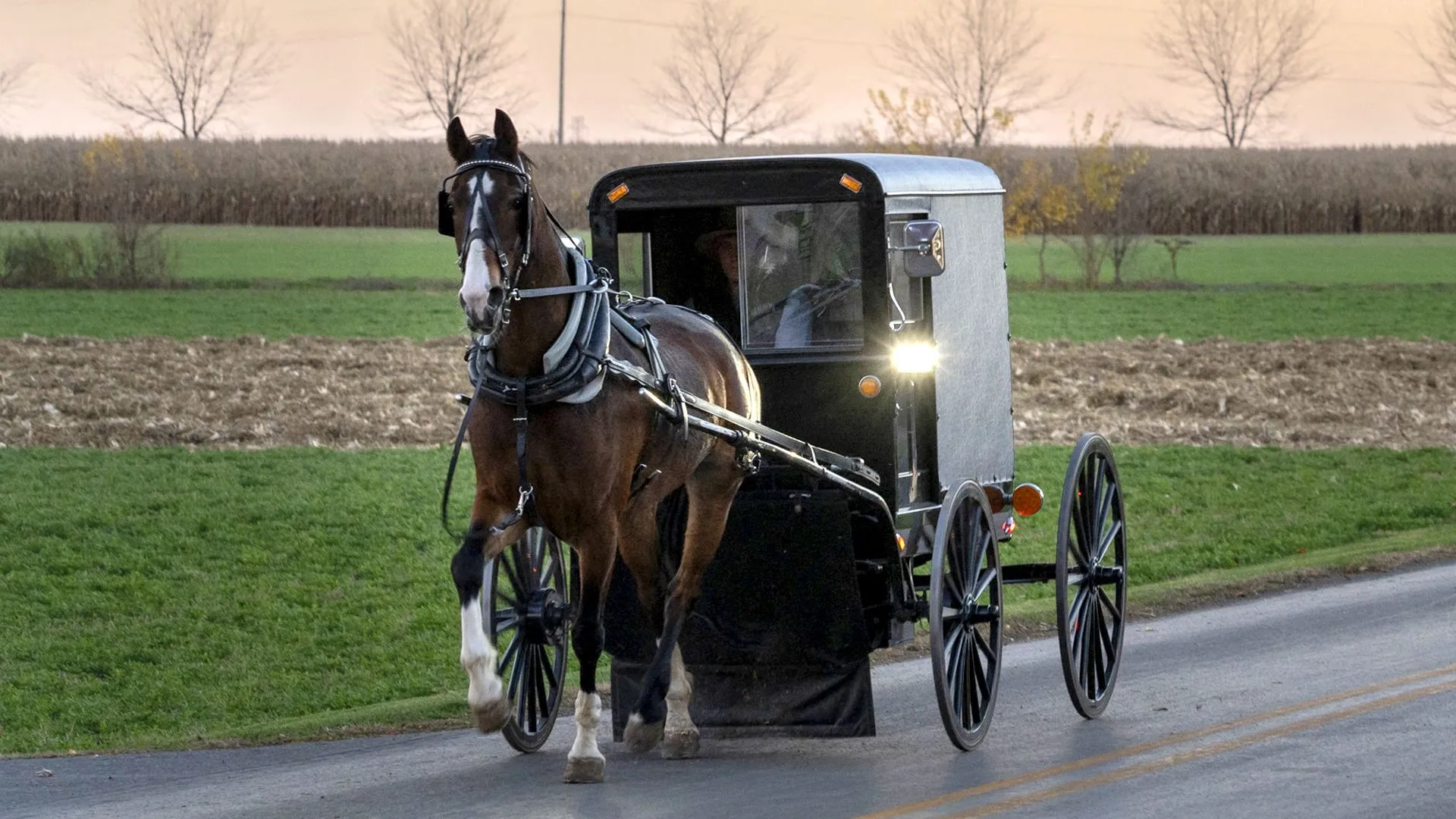 Como a hermética comunidade amish combate o surto de sarampo mais mortal da história recente dos EUA