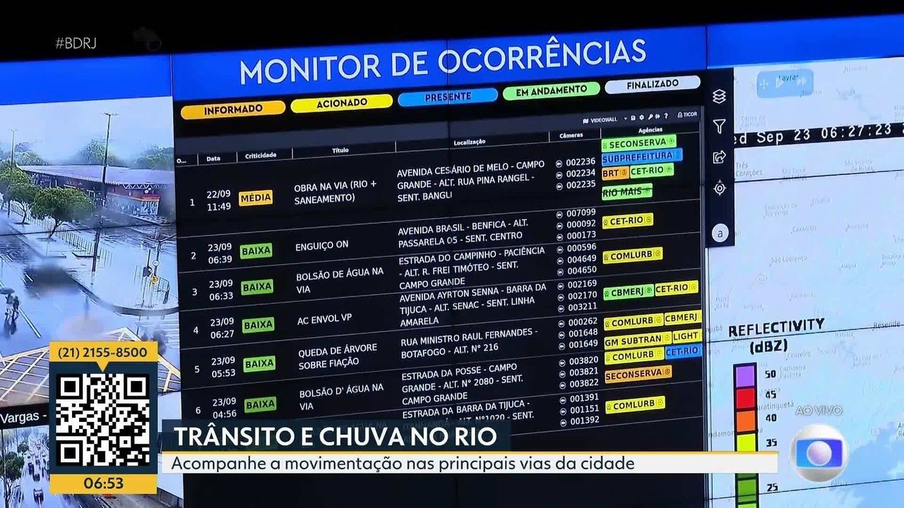 Jacaré é atropelado na Barra da Tijuca; bombeiros são acionados