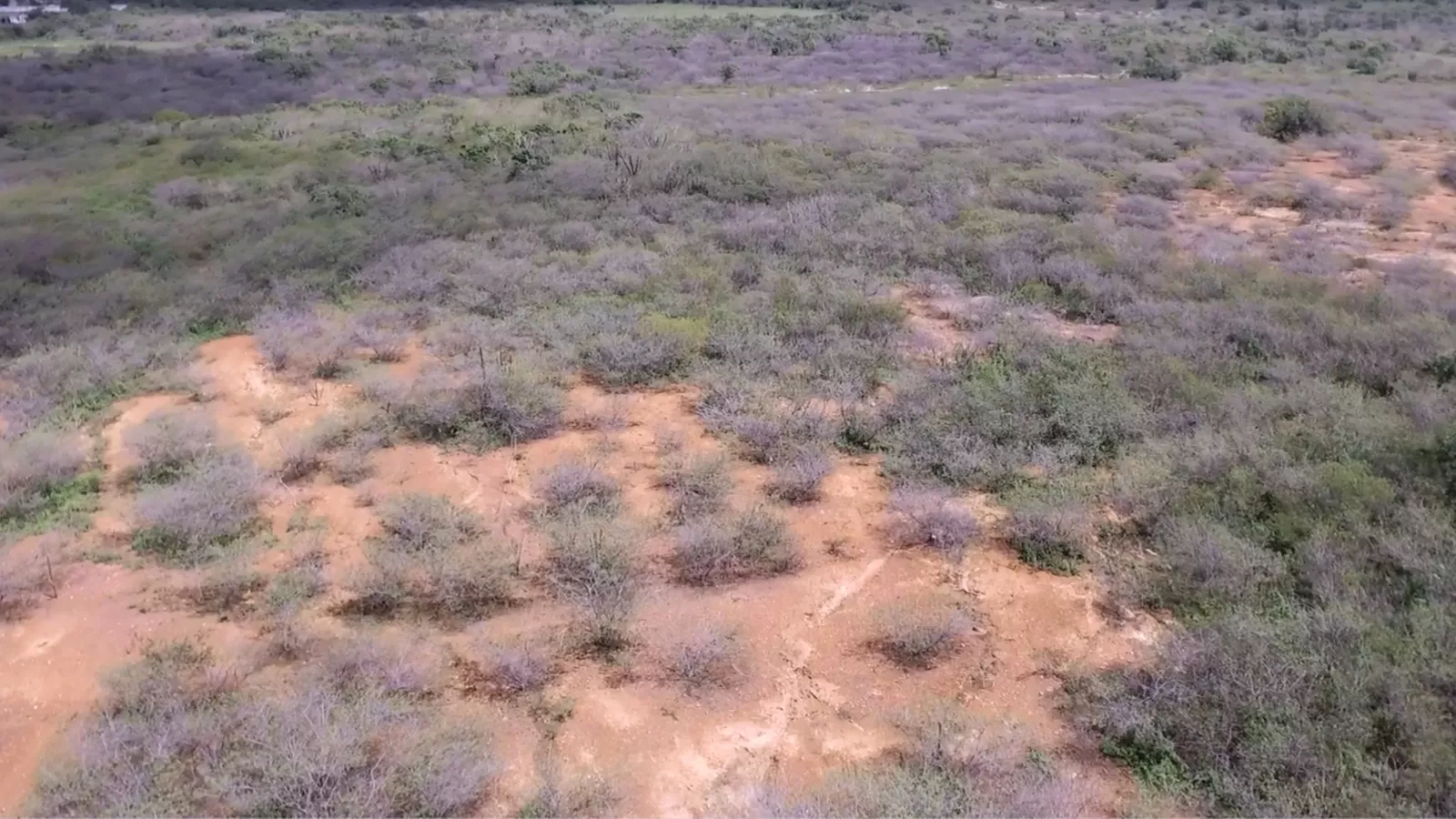 Lá Vem o Enem: resolva questões de geografia sobre crise climática no semiárido