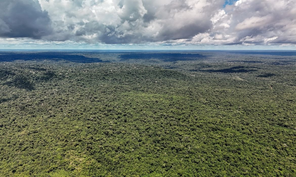 Devastação na Amazônia pode quebrar maior "máquina de chuva" do mundo