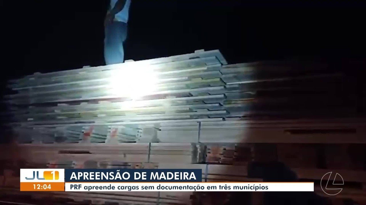 Mais de 256 m³ de madeira são apreendidos em fiscalizações em três municípios do Pará
