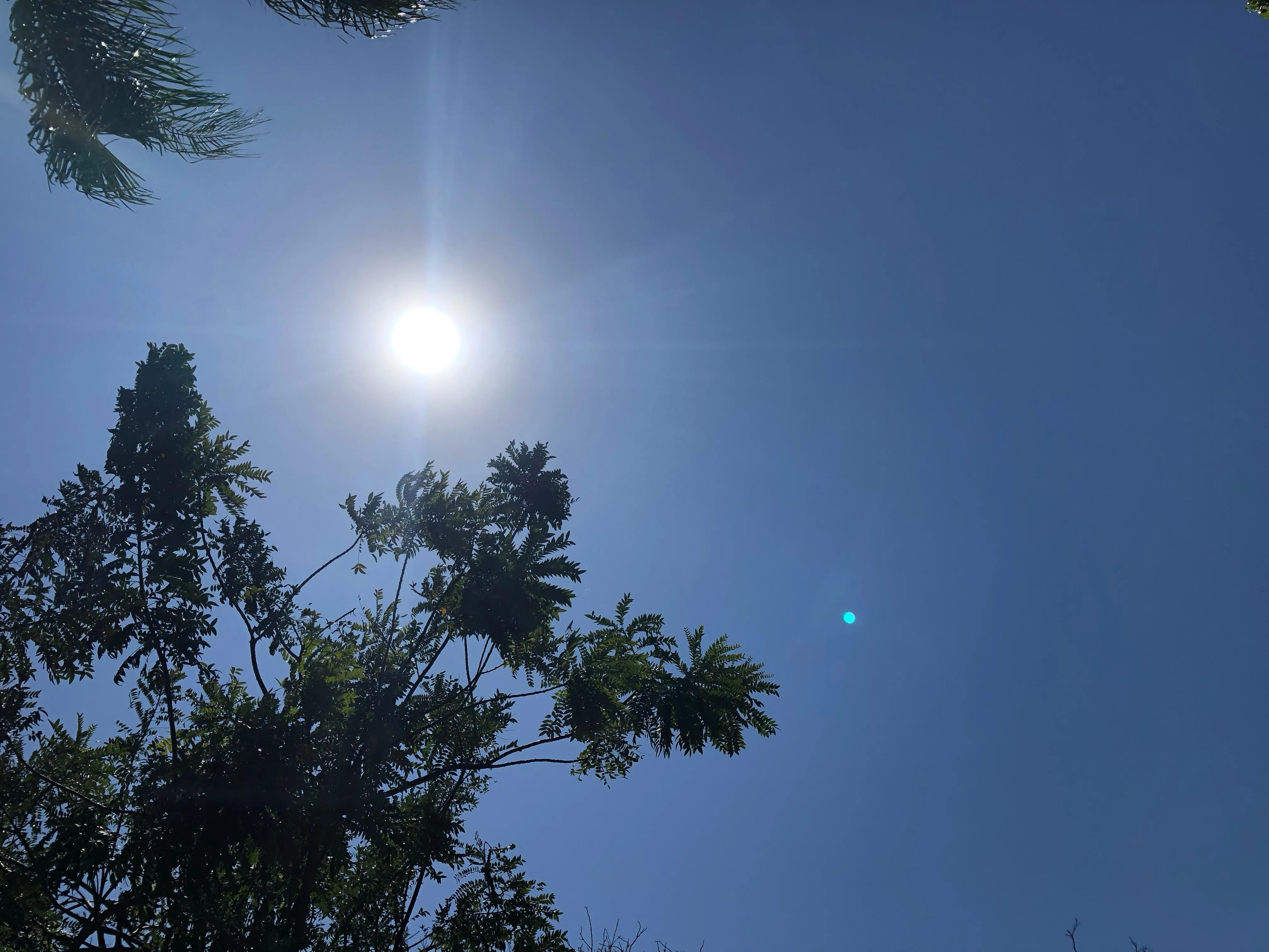 Até quando vai o calorão? Após máxima de 33°C nesta quinta, temperaturas seguem altas nos próximos dias