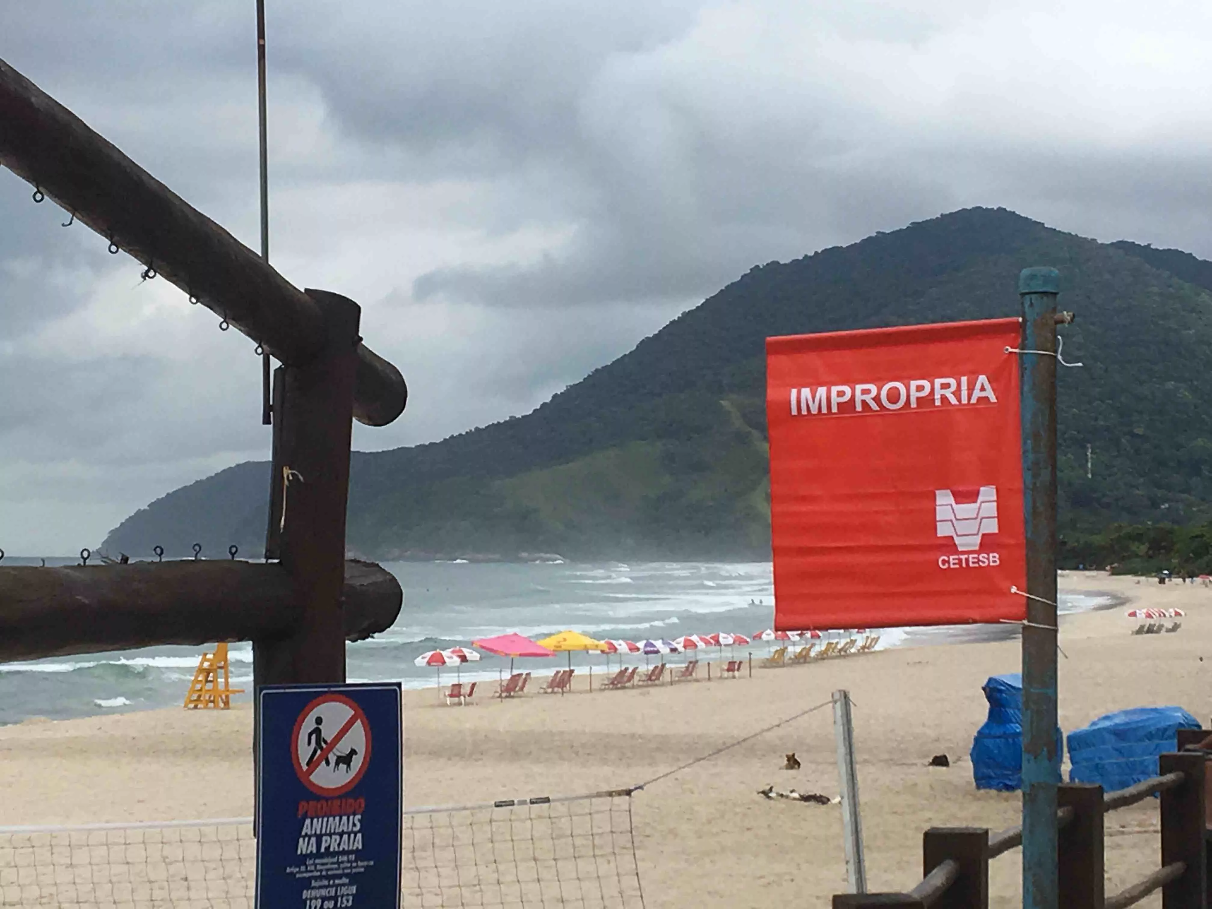 Litoral de SP tem 86 praias impróprias para banho no feriado de Nossa Senhora Aparecida; veja a lista