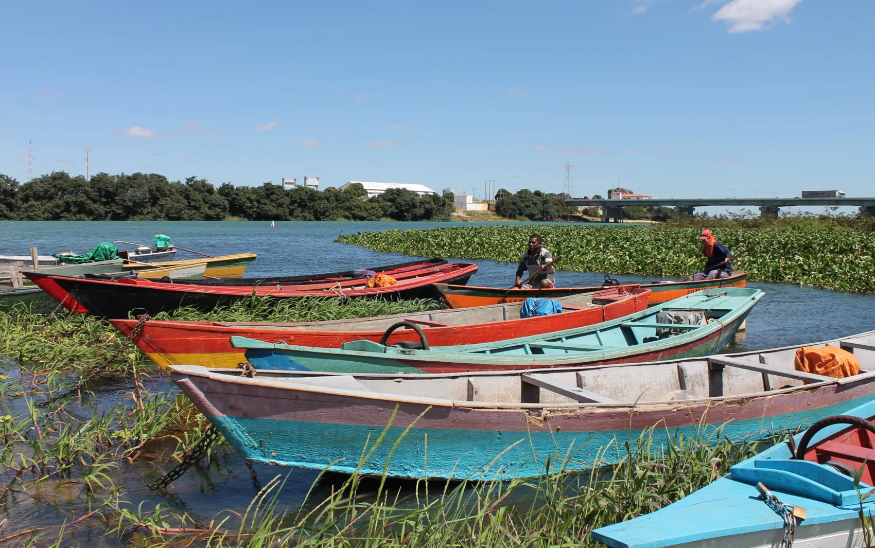 X Workshop de Aquicultura e Pesca do Vale do São Francisco está com inscrições abertas em Petrolina