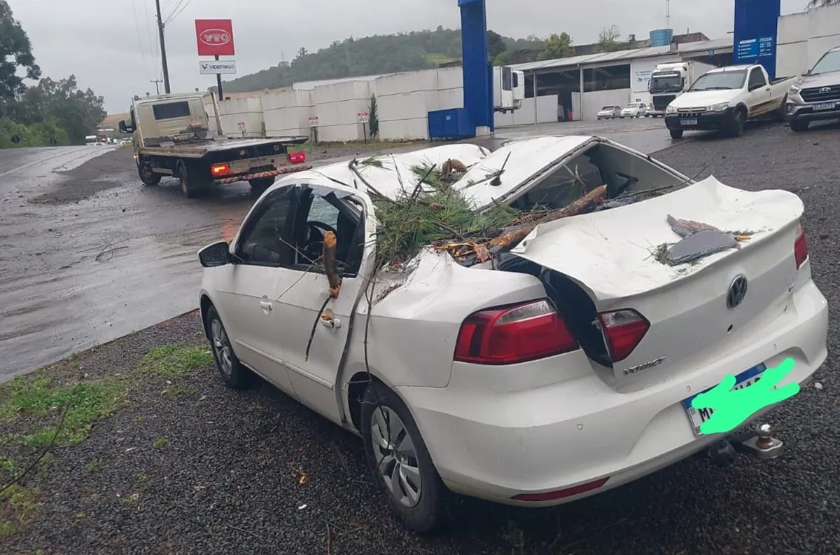 Carro em movimento é atingido por árvore durante vendaval na SC-355; VÍDEO mostra veículo destruído
