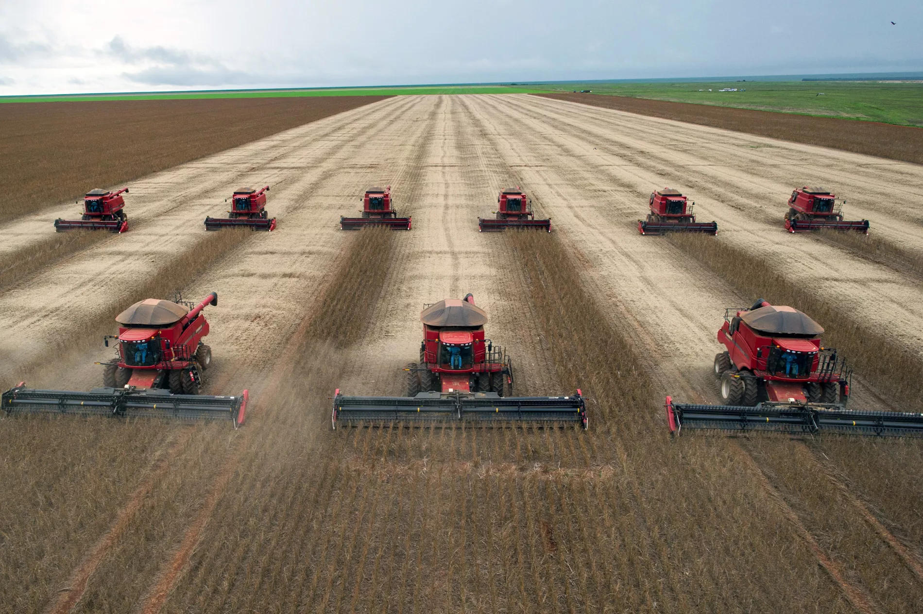 Do endividamento à imagem ruim: os problemas que o agro quer ver resolvidos pelo próximo presidente 