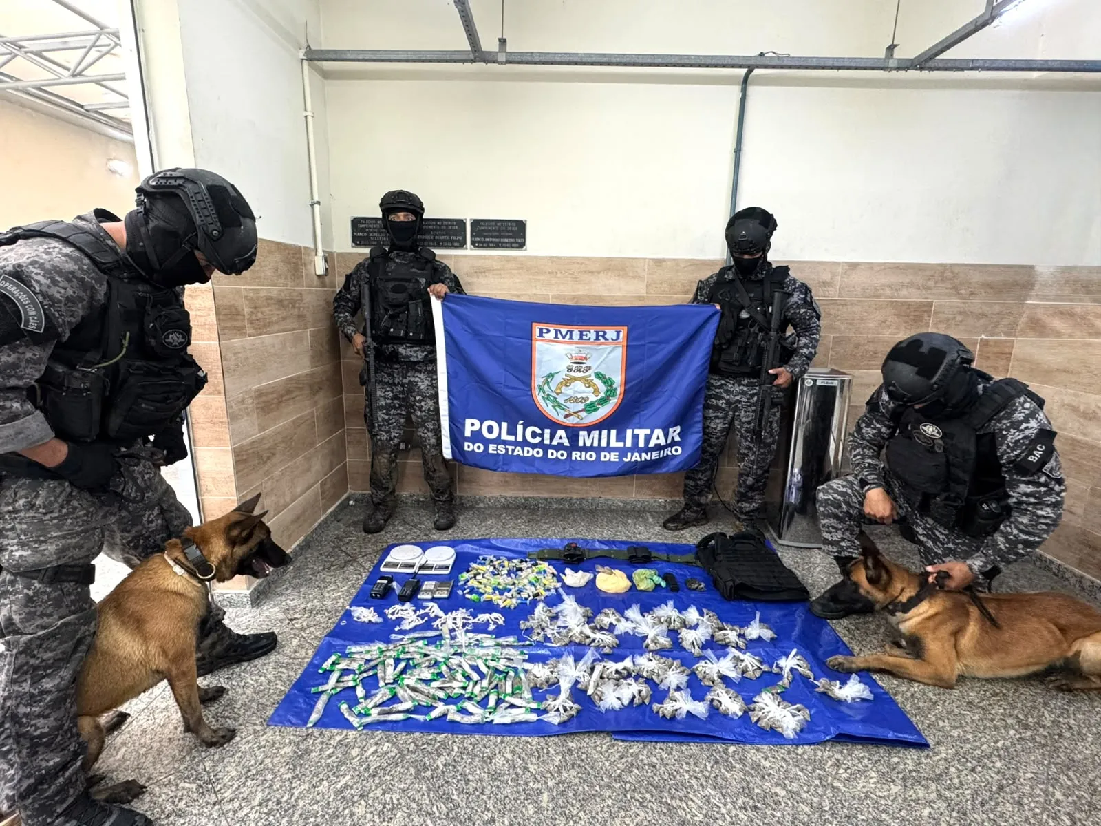 Cães farejadores ajudam a encontrar drogas em área de mata em Volta Redonda