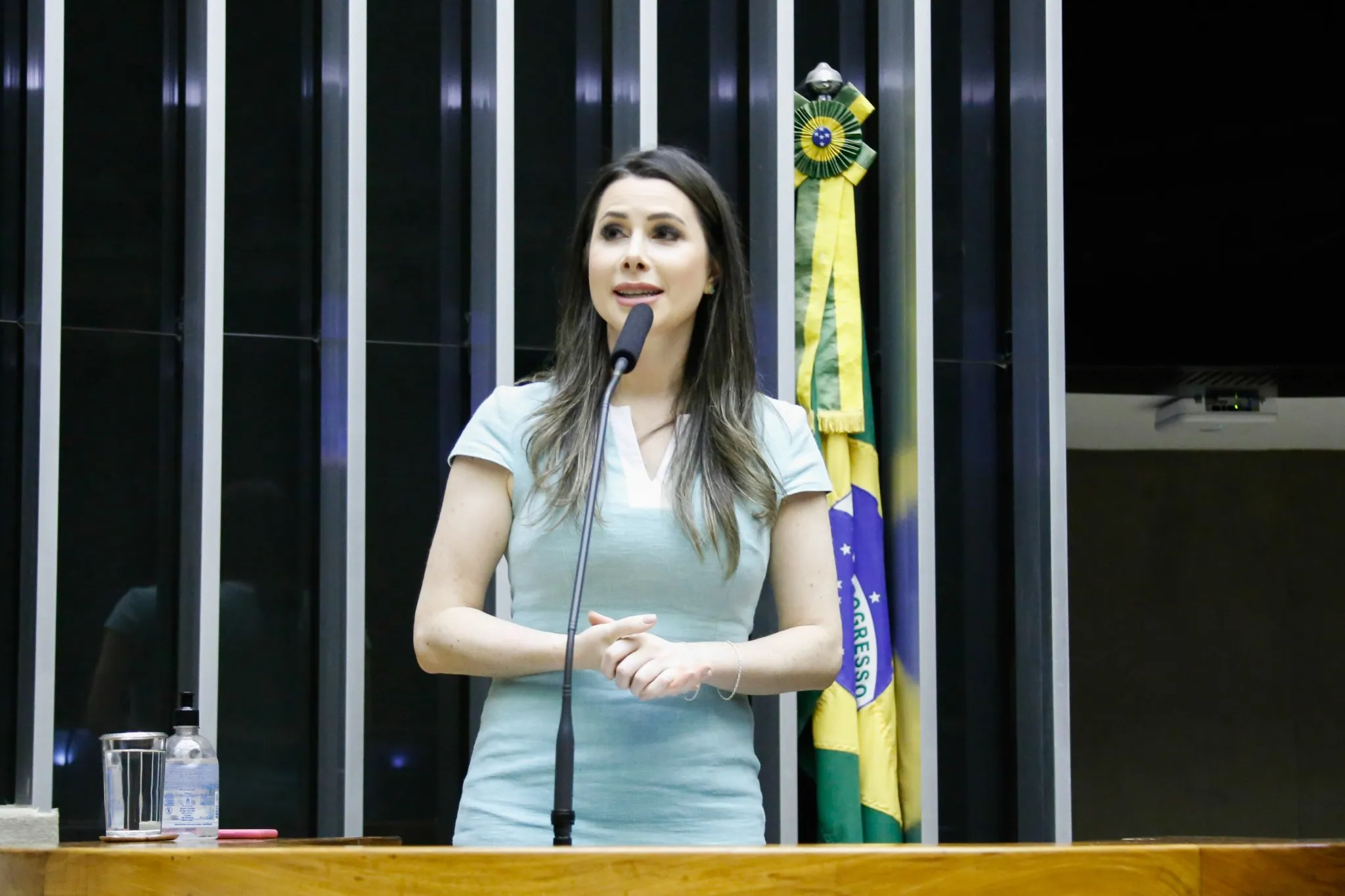 Qual é o número de Carol de Toni (PL) para o Senado em Santa Catarina?